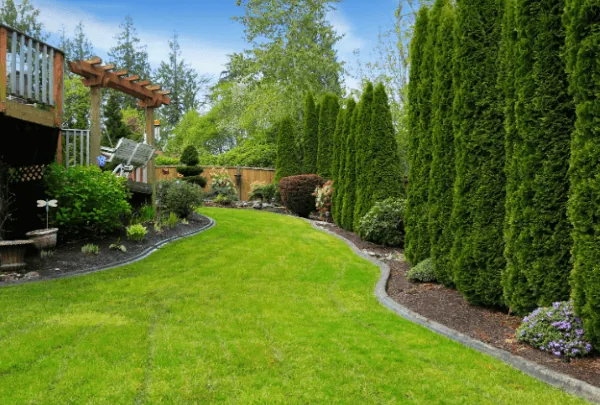 Backyard landscape design and installation