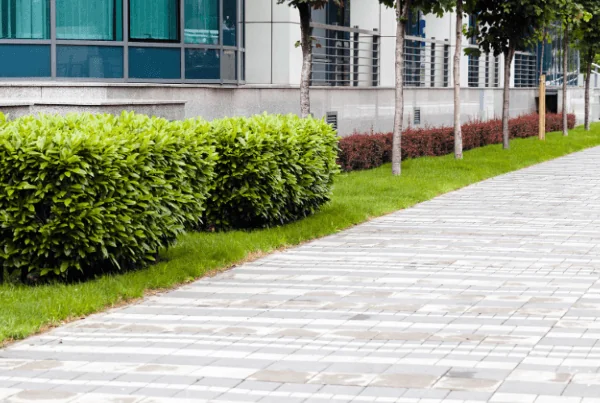 Commercial property walkway with landscaping — commercial mowing services in Charlottesville, VA
