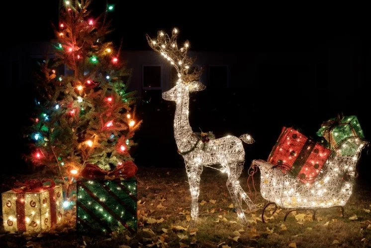Christmas tree and reindeer holiday display — holiday lighting services in Charlottesville, VA