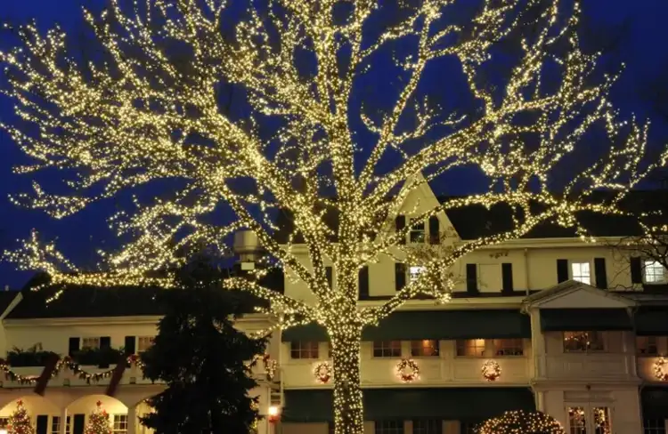 Holiday decorating and Christmas light installation