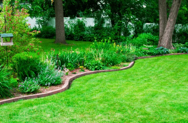 Colorful planting bed design with curved edging