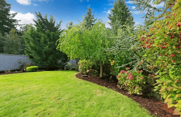 Shrub and hedge bed installation