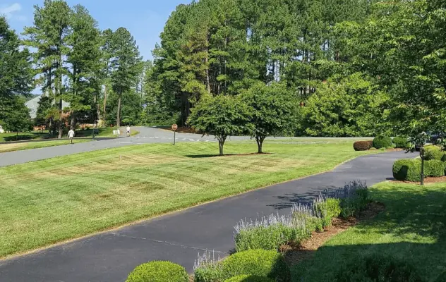 Landscaped driveway with mature trees