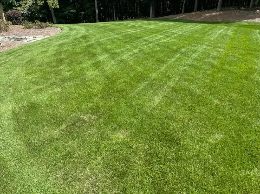 Ryan Pace, owner of Green Thumb Landscaping & Hardscaping, on a Charlottesville VA jobsite