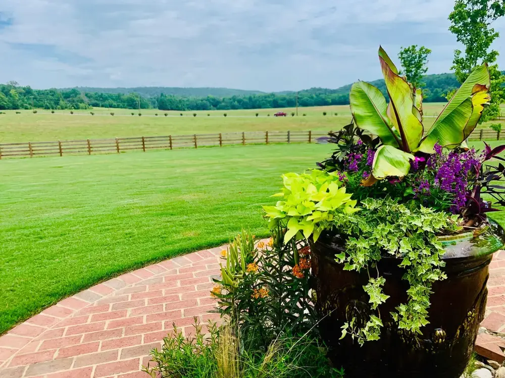 Landscaped property with mountain view — Albemarle County VA