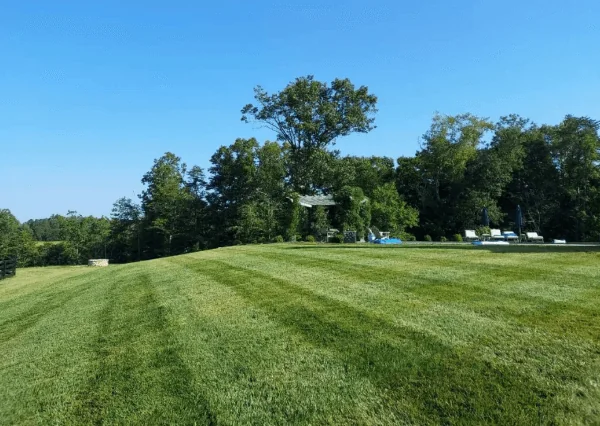 Freshly striped, mowed lawn — lawn mowing services in Charlottesville, VA