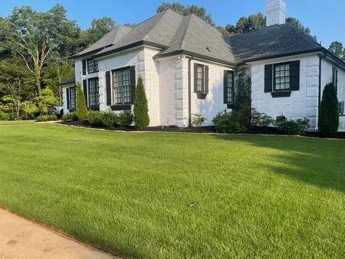 Dense, healthy lawn at a residential property