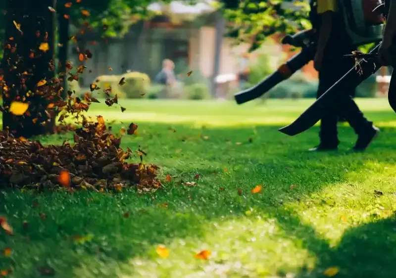 Leaf removal service — Charlottesville VA