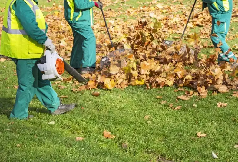 Green Thumb crew removing leaves with blowers