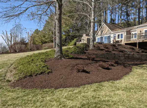 Sod lawn with mature trees and driveway
