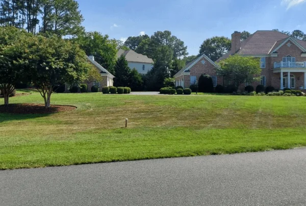 New sod lawn along circular driveway