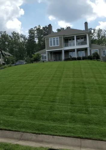 Established striped lawn after sod installation — sod installation services in Charlottesville, VA